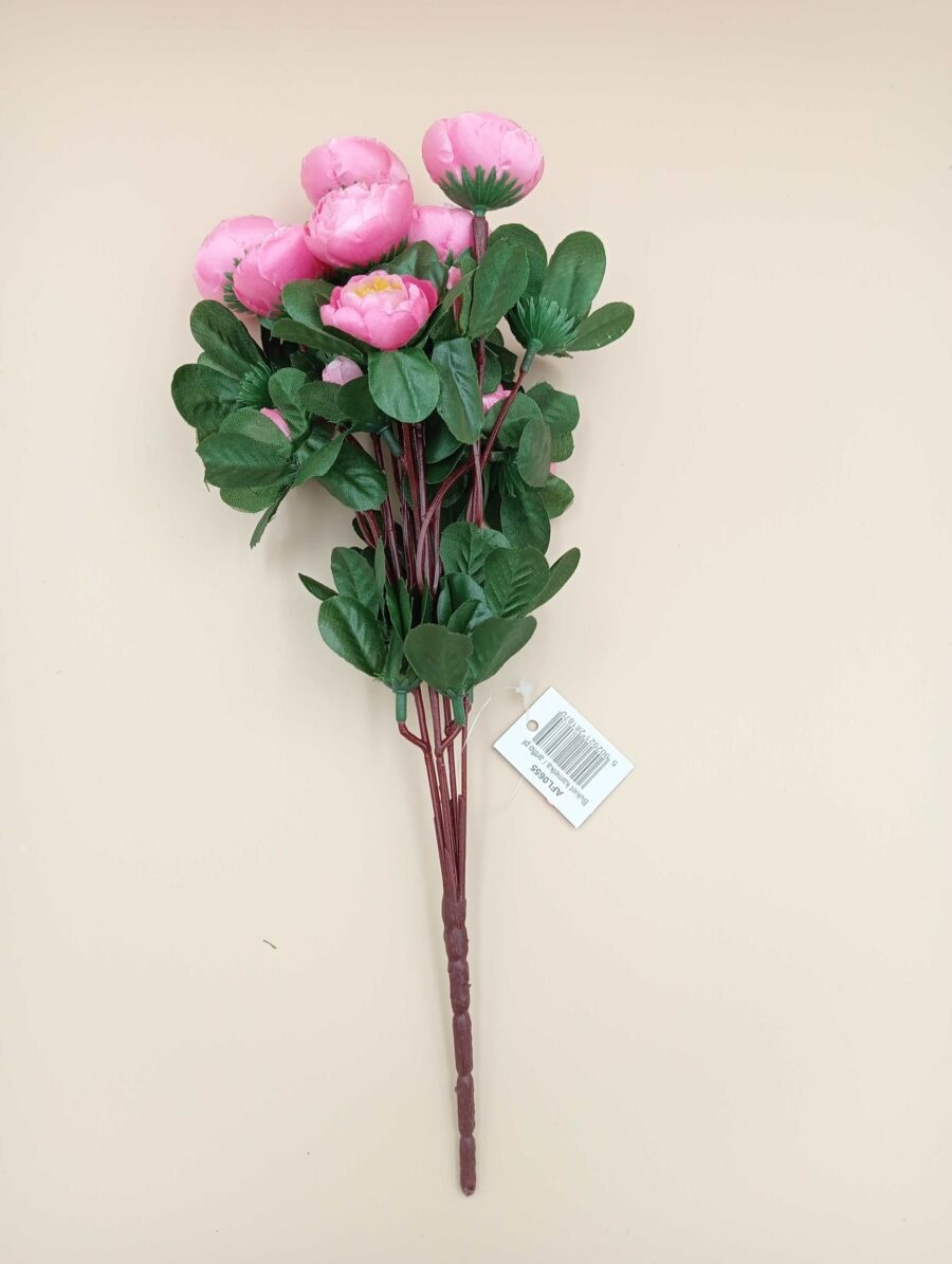 Kamelka różowa AFL0655