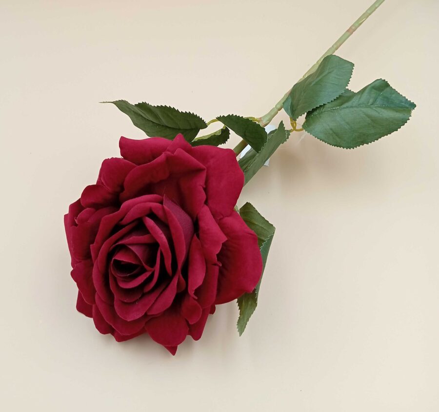 Kwiat róża pojedyncza bordo VIP2454